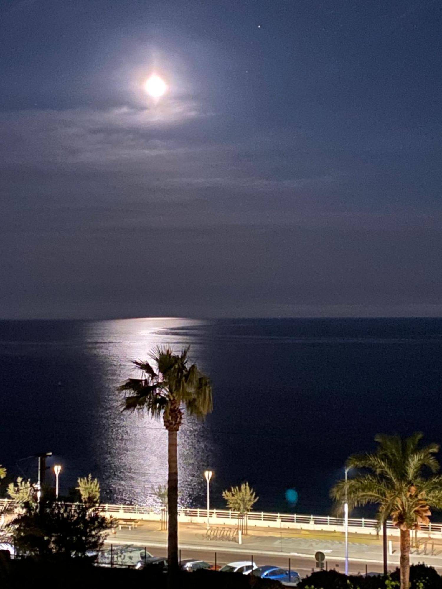 Bord De Mer, Terrasse, Tout A Pieds Cannes Bagian luar foto